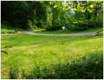 Preview of: 
TopORock_Grounds22.jpg
800 x 600
(171,857 bytes)