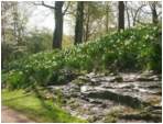 Preview of: 
TopORock_Grounds36.jpg
800 x 600
(222,573 bytes)