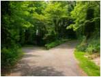 Preview of: 
TopORock_Grounds37.jpg
800 x 600
(175,783 bytes)